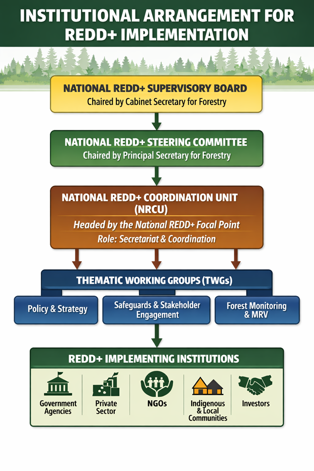 Diagram of the institutional arrangement for REDD+ implementation: National REDD+ Supervisory Board, National REDD+ Steering Committee, National REDD+ Coordination Unit, Thematic Working Groups, and REDD+ Implementing Institutions.