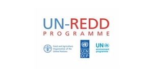 UN-REDD